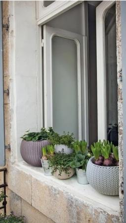 378284476_podvesnoj-gorshok-cosy